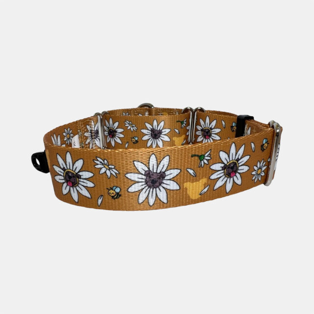 Daisy Pittie 1.5" Martingale Collar - Image 3