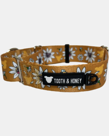 Daisy-Pittie-1.5'-Martingale-Collar-2