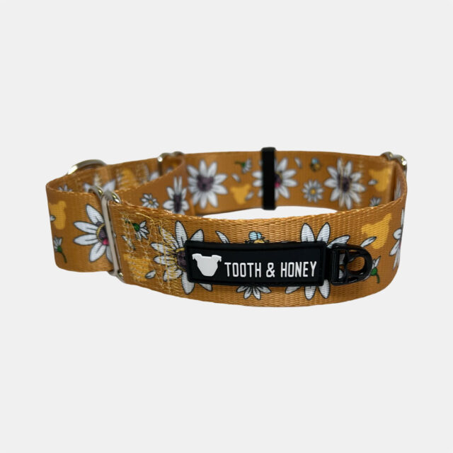 Daisy Pittie 1.5" Martingale Collar - Image 2