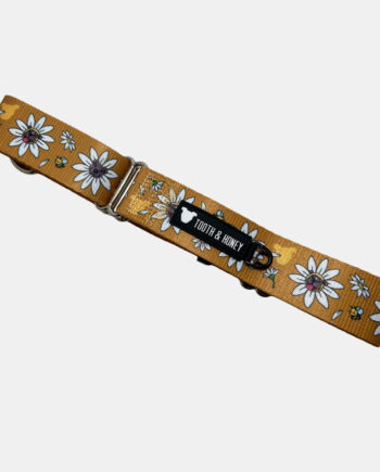 Daisy-Pittie-1.5'-Martingale-Collar-3