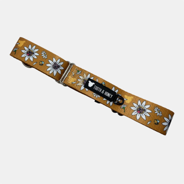 Daisy Pittie 1.5" Martingale Collar - Image 4