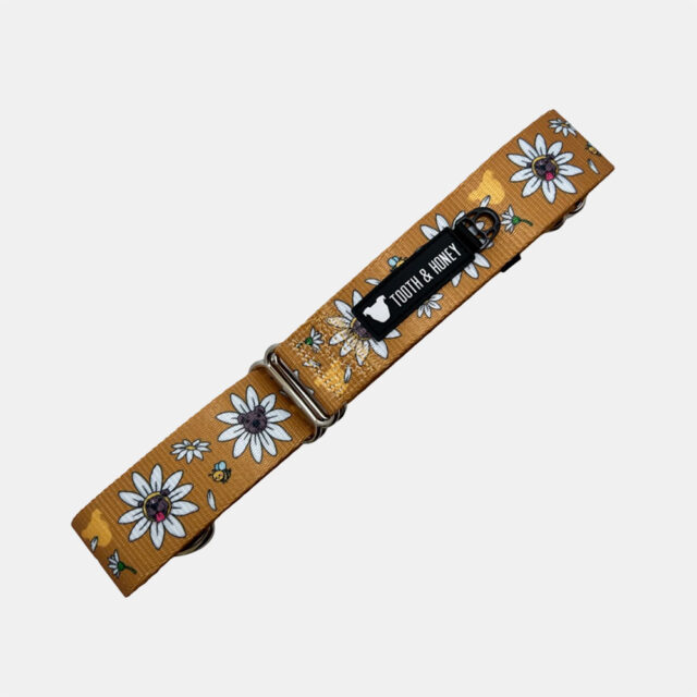 Daisy Pittie 1.5" Martingale Collar