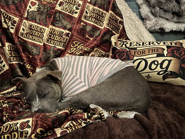 House Hippo Quilt Inspired Sherpa Blanket - Image 3
