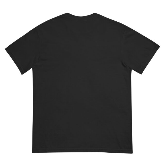 Celestial Pittie Tee- Comfort Colors Shirt | Grey Pittie - Image 3