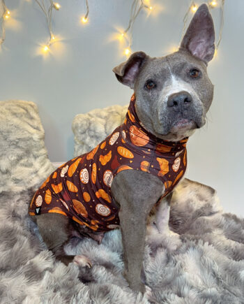 Cozy-Carbs-Lightweight-Dog-Vest-1