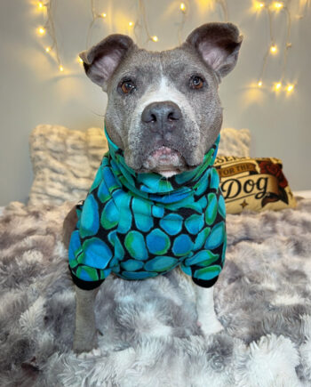 Little-Gem-Fleece-Dog-Sweater-2