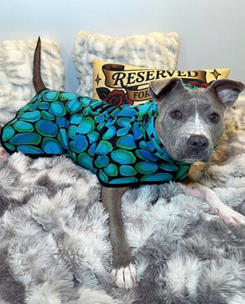 Little-Gem-Fleece-Dog-Wrap-1