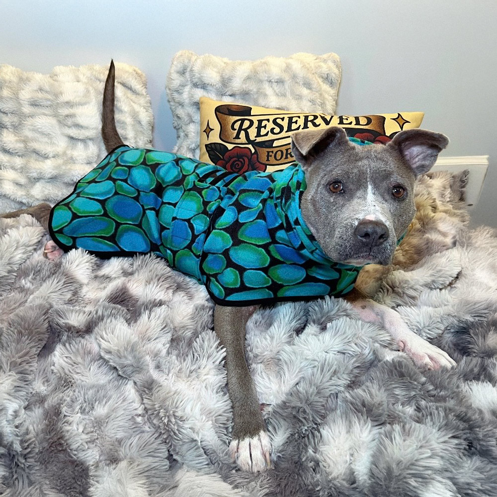 Little-Gem-Fleece-Dog-Wrap-1