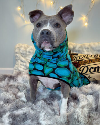 Little-Gem-Fleece-Dog-Wrap-3