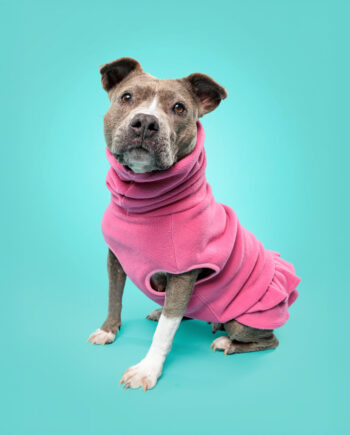Pink-Tutu-Fleece-Dog-Vest-2