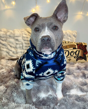 Winter-Ocean-Fleece-Dog-Sweater-1