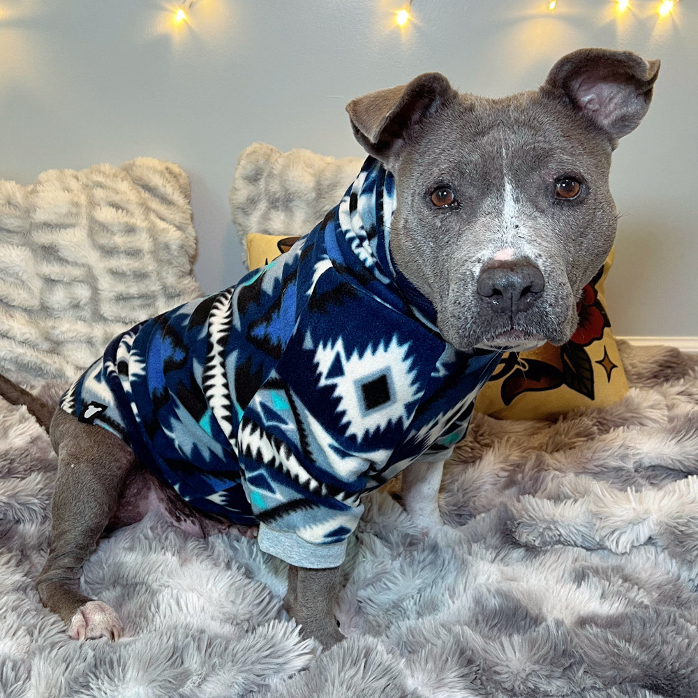 Winter-Ocean-Fleece-Dog-Sweater-2