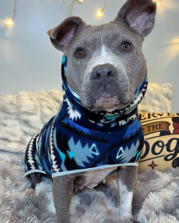 Winter-Ocean-Fleece-Dog-Wrap-2