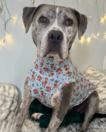 Little-Dasher-Lightweight-Vest-_-BLUE-1