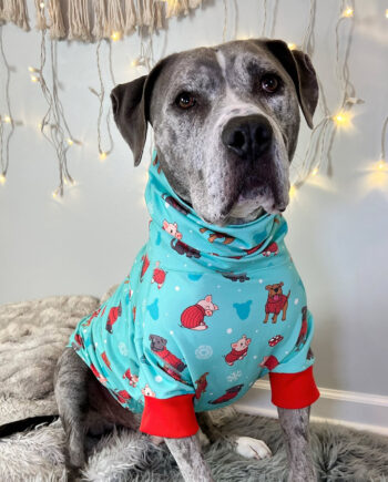 Pittie-Sweatshirt-_-Snow-Piggies-1