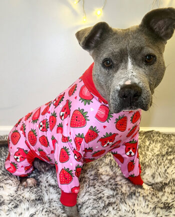 Berry-Cute-Lightweight-Dog-Pajama-1