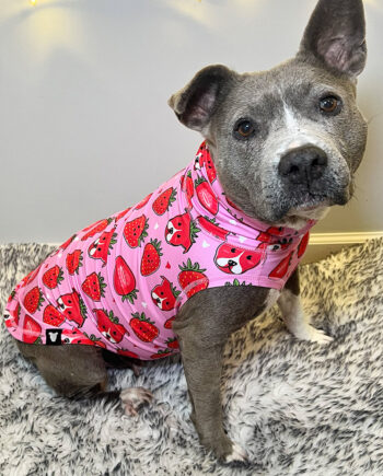 Berry-Cute-lightweight-Dog-Vest-1