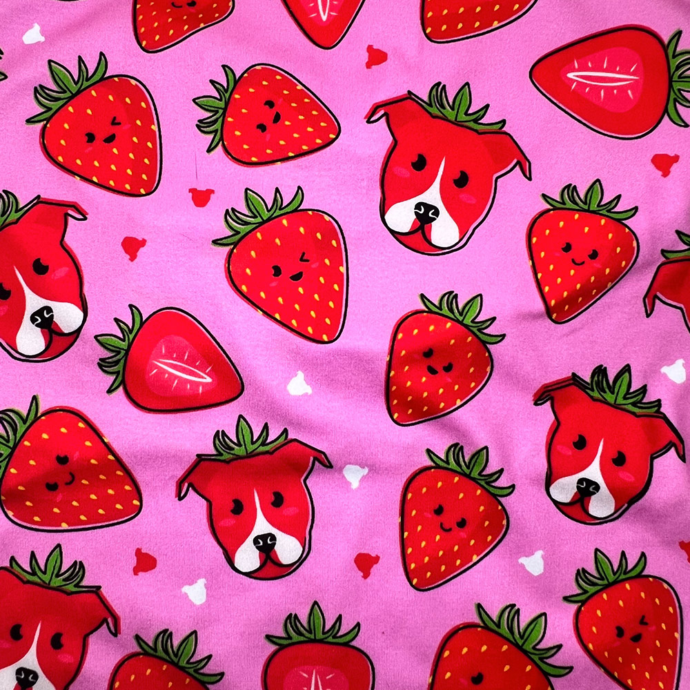 Berry-Cute-lightweight-Dog-Vest-4
