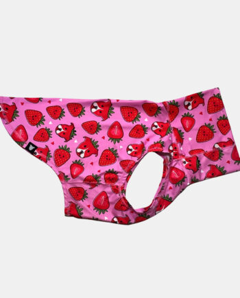 Berry-Cute-lightweight-Dog-Vest-5