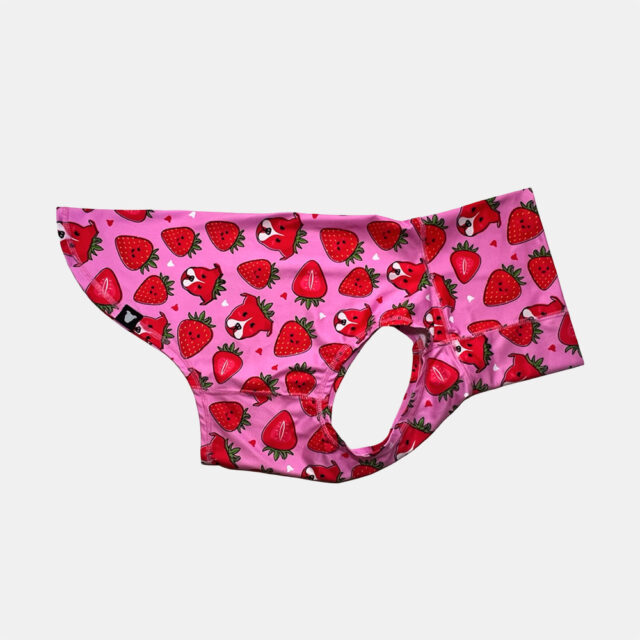 Berry-Cute-lightweight-Dog-Vest-5