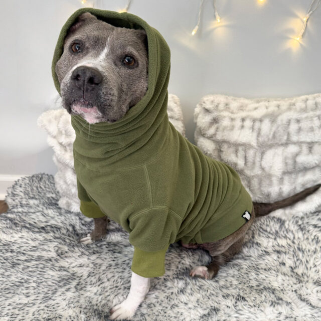 Classic-Cozy-Fleece-_-Fern-Gulley-4
