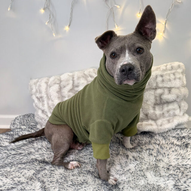 Classic-Cozy-Fleece-_-Fern-Gulley-5